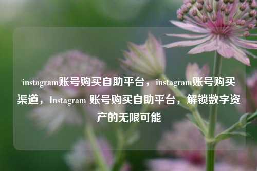 instagram账号购买自助平台，instagram账号购买渠道，Instagram 账号购买自助平台，解锁数字资产的无限可能