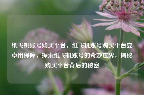 纸飞机账号购买平台，纸飞机账号购买平台安卓用保障，探索纸飞机账号的奇妙世界，揭秘购买平台背后的秘密