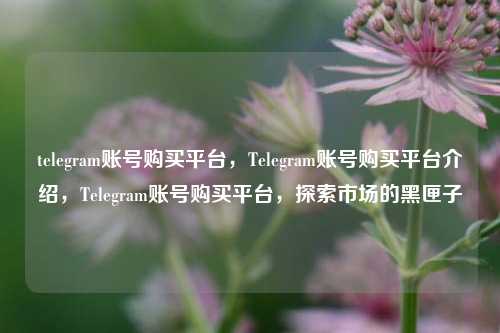 telegram账号购买平台，Telegram账号购买平台介绍，Telegram账号购买平台，探索市场的黑匣子