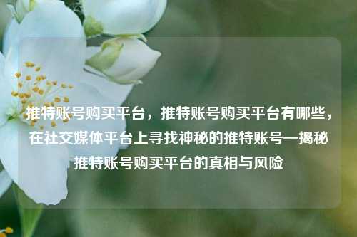 推特账号购买平台，推特账号购买平台有哪些，在社交媒体平台上寻找神秘的推特账号—揭秘推特账号购买平台的真相与风险
