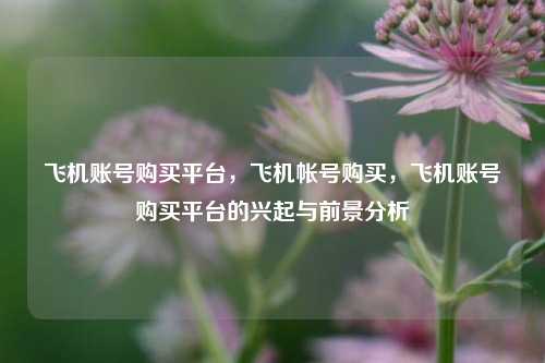 飞机账号购买平台，飞机帐号购买，飞机账号购买平台的兴起与前景分析