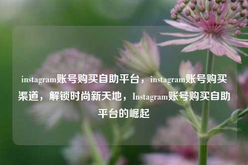 instagram账号购买自助平台，instagram账号购买渠道	，解锁时尚新天地，Instagram账号购买自助平台的崛起  第1张