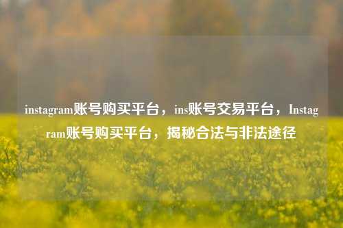 instagram账号购买平台，ins账号交易平台，Instagram账号购买平台，揭秘合法与非法途径