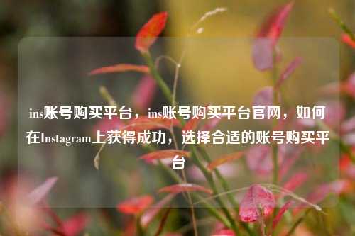 ins账号购买平台，ins账号购买平台官网，如何在Instagram上获得成功，选择合适的账号购买平台