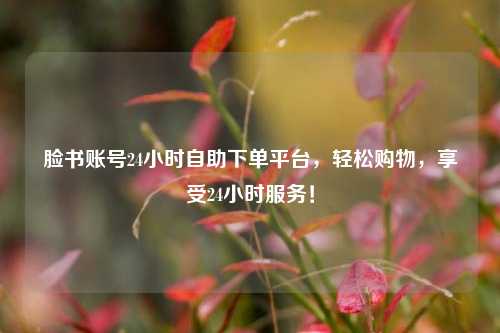 脸书账号24小时自助下单平台，轻松购物，享受24小时服务！