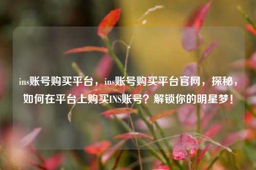 ins账号购买平台，ins账号购买平台官网，探秘，如何在平台上购买INS账号？解锁你的明星梦！