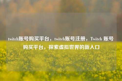 twitch账号购买平台	，twitch账号注册，Twitch 账号购买平台，探索虚拟世界的新入口  第1张