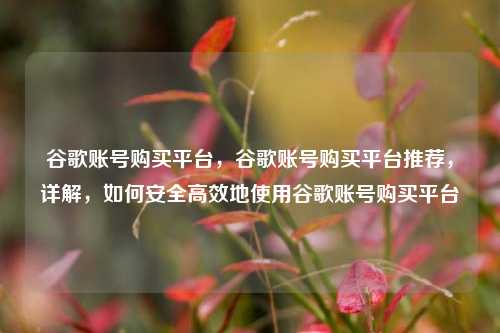 谷歌账号购买平台，谷歌账号购买平台推荐，详解，如何安全高效地使用谷歌账号购买平台