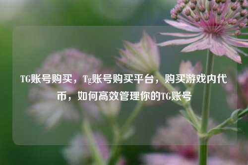 TG账号购买，Tg账号购买平台，购买游戏内代币，如何高效管理你的TG账号