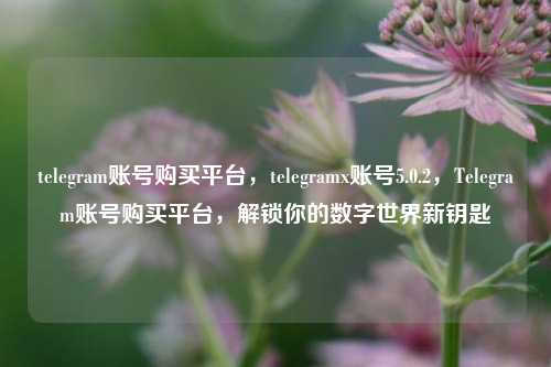 telegram账号购买平台，telegramx账号5.0.2，Telegram账号购买平台，解锁你的数字世界新钥匙