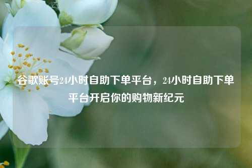 谷歌账号24小时自助下单平台	，24小时自助下单平台开启你的购物新纪元  第1张