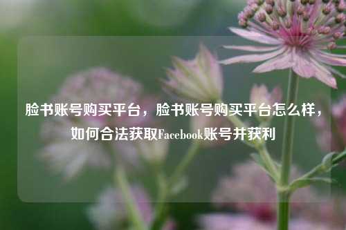 脸书账号购买平台，脸书账号购买平台怎么样，如何合法获取Facebook账号并获利