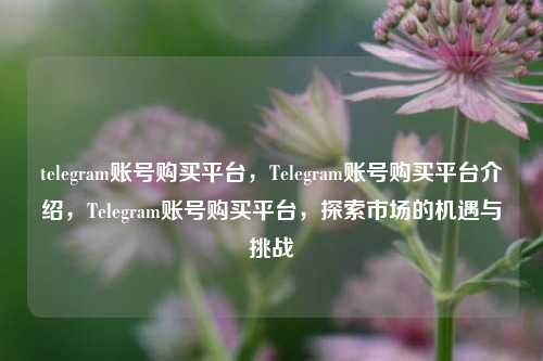 telegram账号购买平台，Telegram账号购买平台介绍，Telegram账号购买平台，探索市场的机遇与挑战