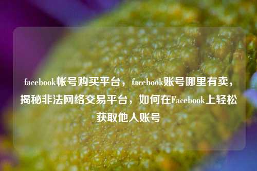 facebook帐号购买平台，facebook账号哪里有卖，揭秘非法网络交易平台，如何在Facebook上轻松获取他人账号