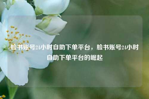 脸书账号24小时自助下单平台，脸书账号24小时自助下单平台的崛起