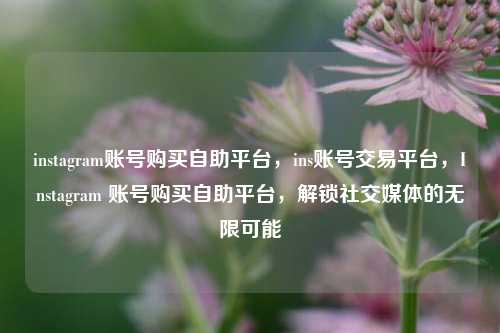 instagram账号购买自助平台，ins账号交易平台，Instagram 账号购买自助平台，解锁社交媒体的无限可能
