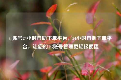 tg账号24小时自助下单平台，24小时自助下单平台，让您的TG账号管理更轻松便捷