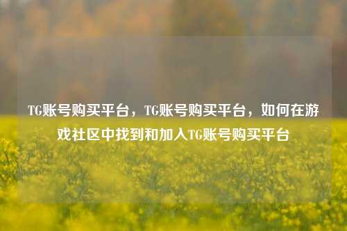 TG账号购买平台，TG账号购买平台，如何在游戏社区中找到和加入TG账号购买平台