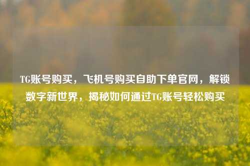 TG账号购买，飞机号购买自助下单官网，解锁数字新世界，揭秘如何通过TG账号轻松购买