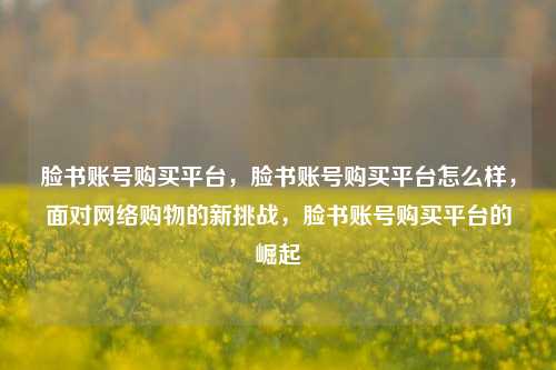 脸书账号购买平台，脸书账号购买平台怎么样，面对网络购物的新挑战，脸书账号购买平台的崛起
