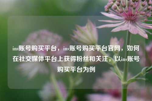 ins账号购买平台，ins账号购买平台官网，如何在社交媒体平台上获得粉丝和关注，以ins账号购买平台为例