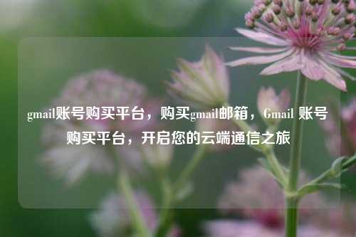 gmail账号购买平台，购买gmail邮箱，Gmail 账号购买平台，开启您的云端通信之旅