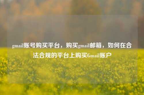 gmail账号购买平台，购买gmail邮箱，如何在合法合规的平台上购买Gmail账户
