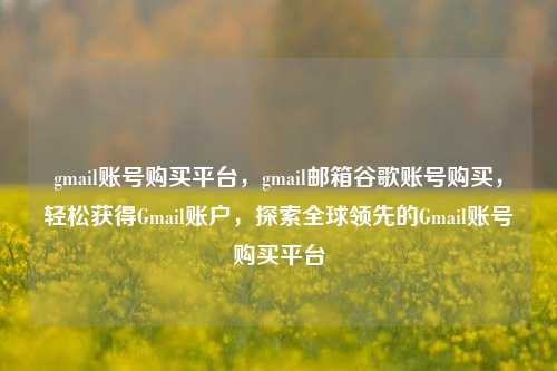 gmail账号购买平台，gmail邮箱谷歌账号购买，轻松获得Gmail账户，探索全球领先的Gmail账号购买平台