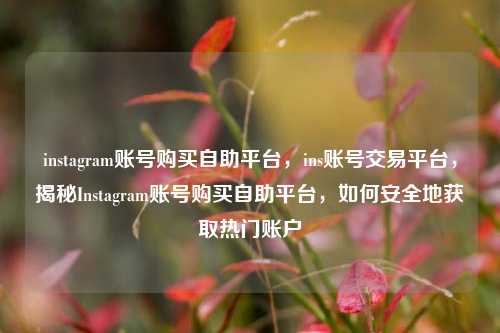 instagram账号购买自助平台，ins账号交易平台，揭秘Instagram账号购买自助平台，如何安全地获取热门账户