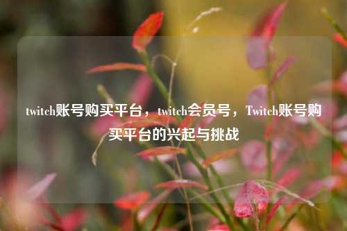twitch账号购买平台，twitch会员号，Twitch账号购买平台的兴起与挑战