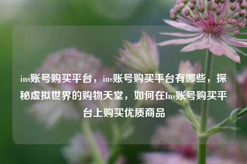 ins账号购买平台，ins账号购买平台有哪些，探秘虚拟世界的购物天堂，如何在Ins账号购买平台上购买优质商品