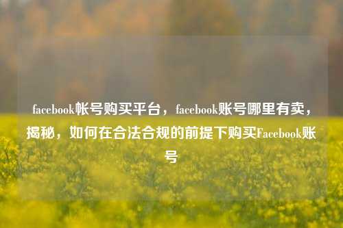 facebook帐号购买平台，facebook账号哪里有卖，揭秘，如何在合法合规的前提下购买Facebook账号