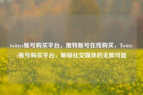 twitter账号购买平台，推特账号在线购买，Twitter账号购买平台，解锁社交媒体的无限可能
