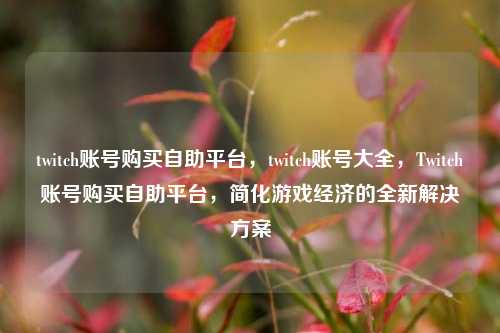 twitch账号购买自助平台，twitch账号大全，Twitch账号购买自助平台，简化游戏经济的全新解决方案