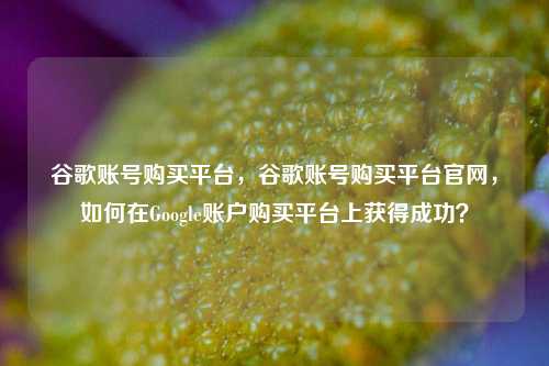 谷歌账号购买平台，谷歌账号购买平台官网，如何在Google账户购买平台上获得成功？
