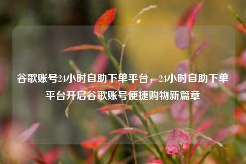 谷歌账号24小时自助下单平台，24小时自助下单平台开启谷歌账号便捷购物新篇章