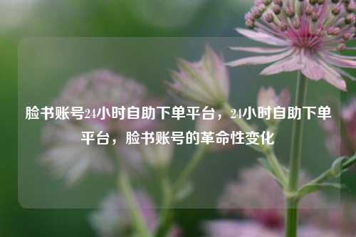 脸书账号24小时自助下单平台，24小时自助下单平台，脸书账号的革命性变化