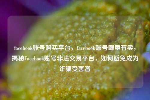 facebook帐号购买平台	，facebook账号哪里有卖，揭秘Facebook账号非法交易平台，如何避免成为诈骗受害者  第1张