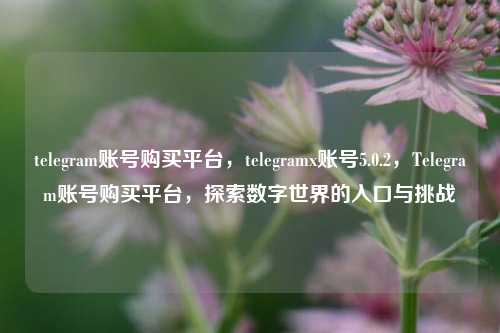telegram账号购买平台，telegramx账号5.0.2，Telegram账号购买平台，探索数字世界的入口与挑战