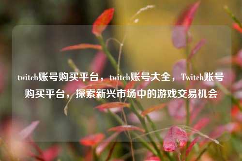 twitch账号购买平台，twitch账号大全，Twitch账号购买平台，探索新兴市场中的游戏交易机会