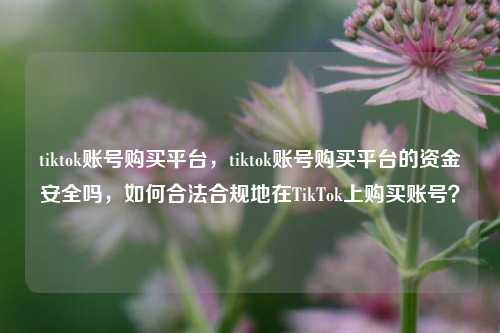 tiktok账号购买平台，tiktok账号购买平台的资金安全吗，如何合法合规地在TikTok上购买账号？