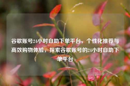 谷歌账号24小时自助下单平台	，个性化推荐与高效购物体验，探索谷歌账号的24小时自助下单平台  第1张