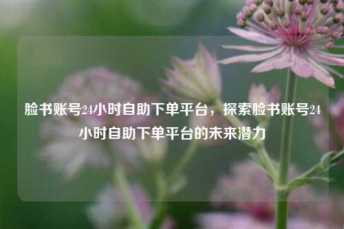 脸书账号24小时自助下单平台，探索脸书账号24小时自助下单平台的未来潜力