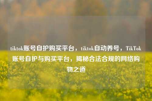 tiktok账号自护购买平台，tiktok自动养号，TikTok账号自护与购买平台，揭秘合法合规的网络购物之道