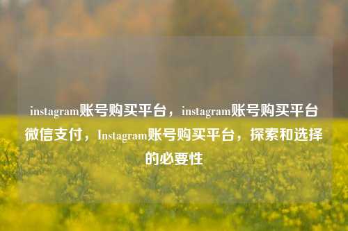 instagram账号购买平台，instagram账号购买平台微信支付，Instagram账号购买平台，探索和选择的必要性