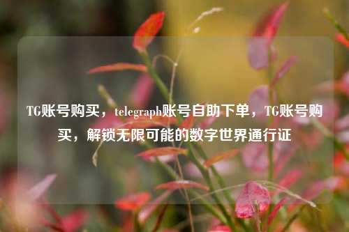 TG账号购买，telegraph账号自助下单，TG账号购买，解锁无限可能的数字世界通行证