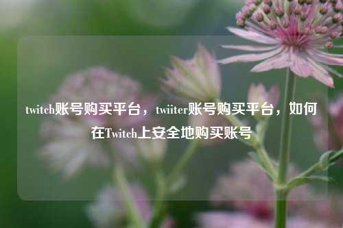 twitch账号购买平台，twiiter账号购买平台，如何在Twitch上安全地购买账号
