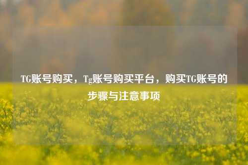 TG账号购买	，Tg账号购买平台，购买TG账号的步骤与注意事项  第1张