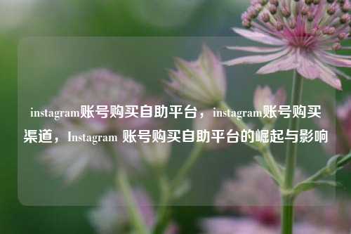 instagram账号购买自助平台，instagram账号购买渠道，Instagram 账号购买自助平台的崛起与影响