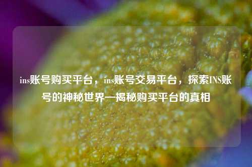 ins账号购买平台，ins账号交易平台，探索INS账号的神秘世界—揭秘购买平台的真相